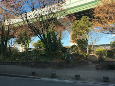 Dekijima Park 사진 5