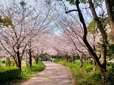 Nishiyodo Park 사진 5