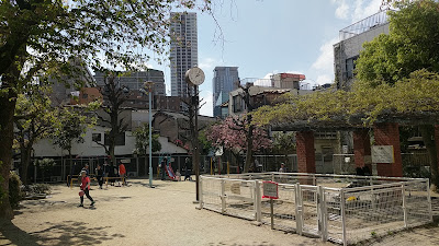 세이비 공원 사진 2
