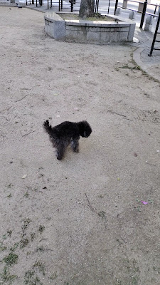 히가시텐마 공원 사진 2