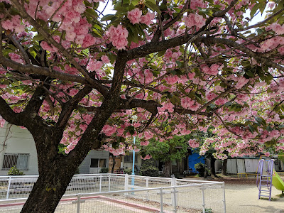 카스가에 공원 사진 3