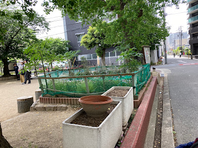 히가시미야코지마 공원 사진 2