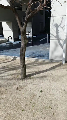 Park 사진 2
