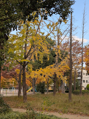 Mitejima Higashi Park 사진 5
