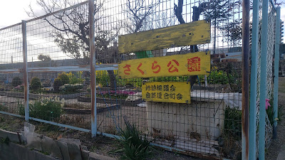 Sakura Park 사진 2