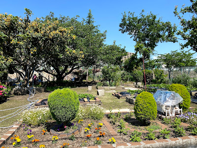 Sakura Park 사진 4