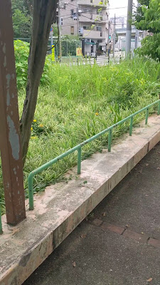 나카쓰히가시 공원 사진 2