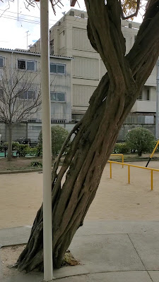 젠겐지 공원 사진 2
