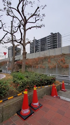 타카도노미나미산 공원 사진 2