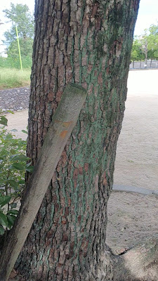 이마후쿠 공원 사진 2