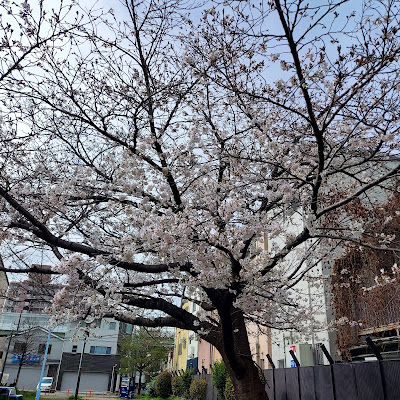 Namae Nishi Park 사진 4