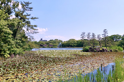 Oike 사진 5