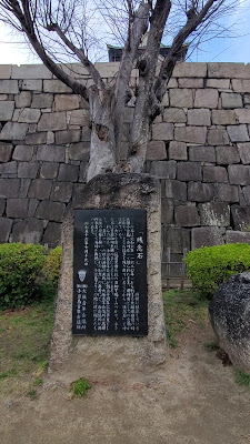 잔넨이시 사진 2