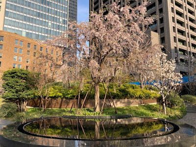 Nakanoshima-shikinooka Park 사진 3