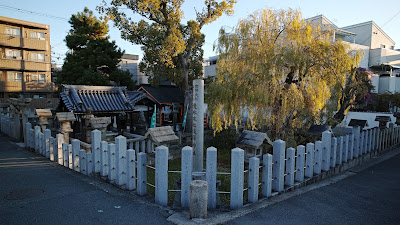 浅沢の杜若 사진 3
