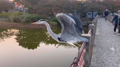 Bandai Pond Park 사진 2
