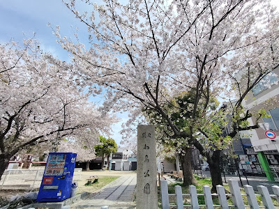 Kitabatake Park 사진 5