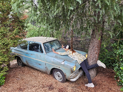 Flying Ford Anglia 사진 3