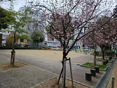 Kyuuhou Park 사진 4