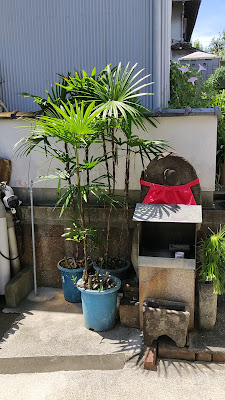 심안사 사진 2