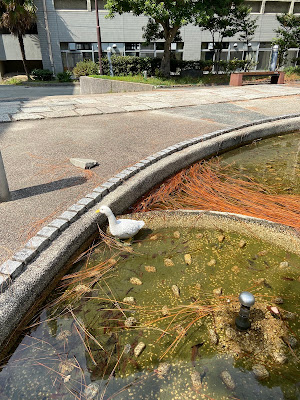 アヒルの噴水 사진 3