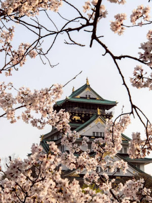 Osaka Castle Walks with Edward 사진 2