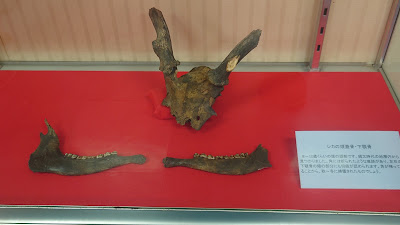 Morinomiya Archaeological Site 사진 2