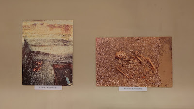 Morinomiya Archaeological Site 사진 4