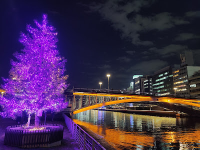 DREAMS COME TRUE Nakanoshima Park Shibafu Park 사진 3