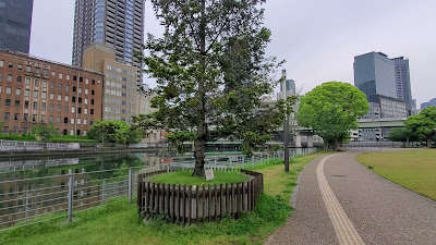 DREAMS COME TRUE Nakanoshima Park Shibafu Park 사진 2