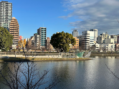 DREAMS COME TRUE Nakanoshima Park Shibafu Park 사진 5