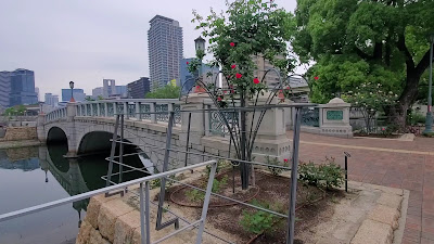 바라조노바시 사진 2