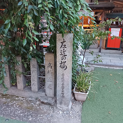 Cherry Blossom Tree on the Left 사진 3