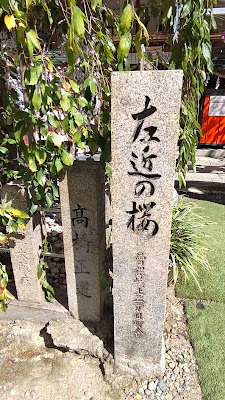 Cherry Blossom Tree on the Left 사진 2