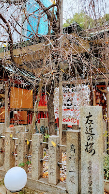 Cherry Blossom Tree on the Left 사진 4