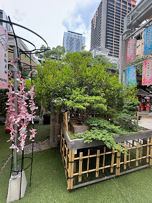 Tachibana Orange Tree on the Right 사진 3