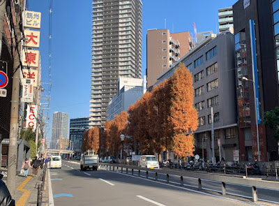 毎日放送開始25周年記念メタセコイヤ並木 사진 3