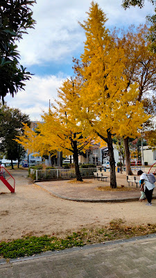 Miyakojima Park 사진 3