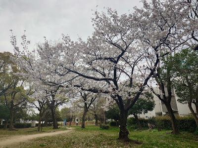 Daimotsu River Greenspace 사진 3