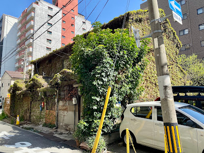 西中島アイビーハウス 사진 2