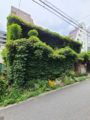 西中島アイビーハウス 사진 3