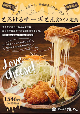 Umehachi Tonkatsu Japanese food Hankyu-Sambangai 사진 5