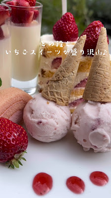 cafe&bar TipToe 御堂筋本町店 사진 2
