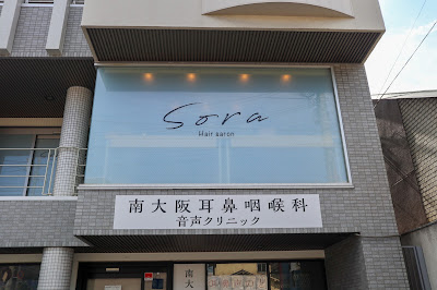 sora 사진 3