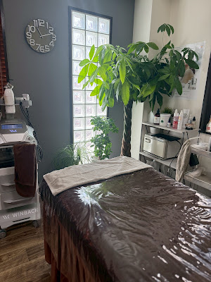 esthetic salon PLANTS 사진 4