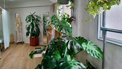 健康の森 整体院 사진 2