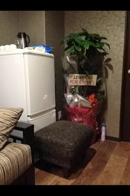 IZUMI BOOV SPA 사진 3