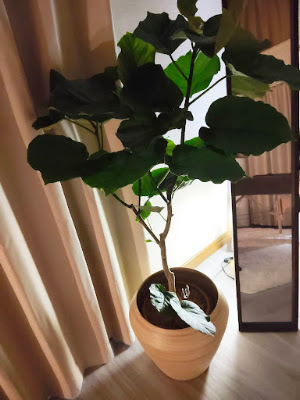 TOTONOE SPA 사진 4