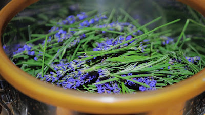 HERBAL HOUSE 사진 4