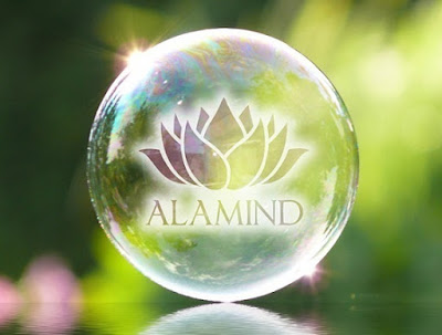 ALAMIND Ltd.（アラマインド）株式会社 사진 3